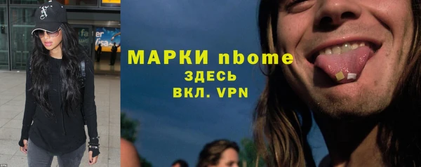 стафф Верхний Тагил