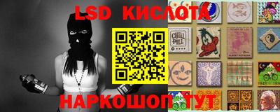 прущие грибы Берёзовский