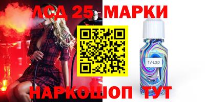 крисы Беслан