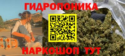 прущие грибы Берёзовский