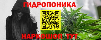 крисы Беслан