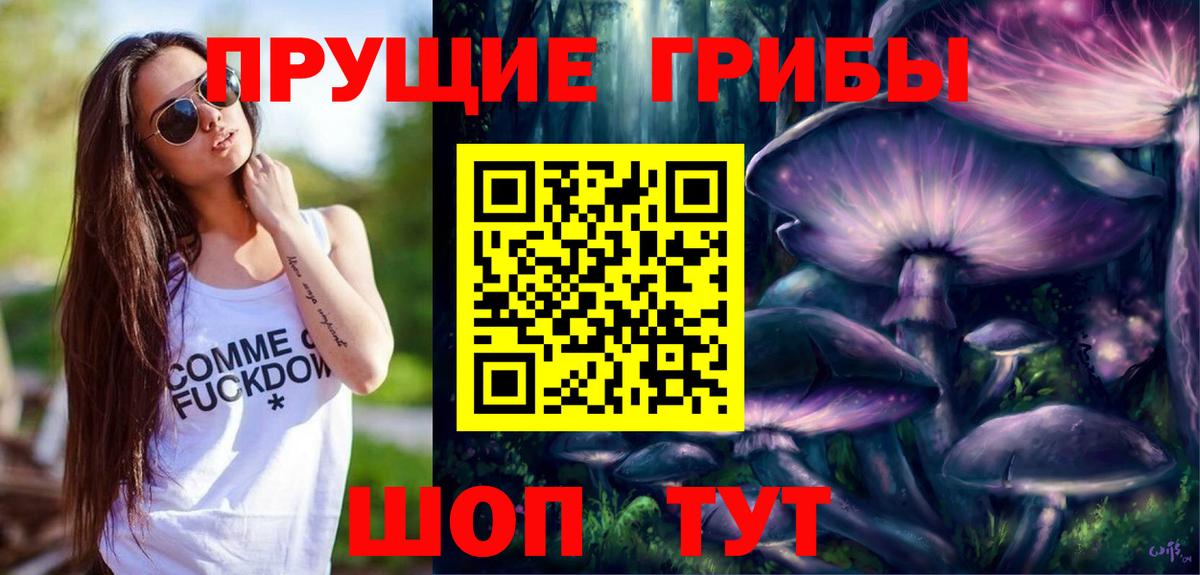 Галлюциногенные грибы Psilocybe Дзержинский