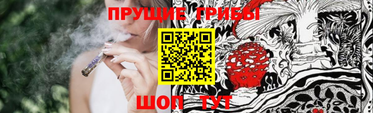 Псилоцибиновые грибы прущие грибы Дзержинский