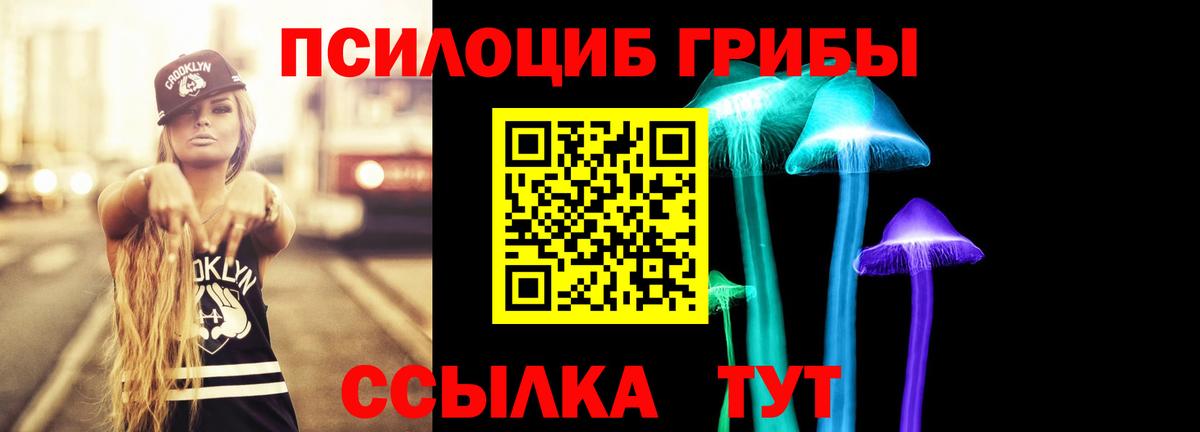 Псилоцибиновые грибы GOLDEN TEACHER  Псилоцибиновые грибы GOLDEN TEACHER  Вход с VPN  Дзержинский 